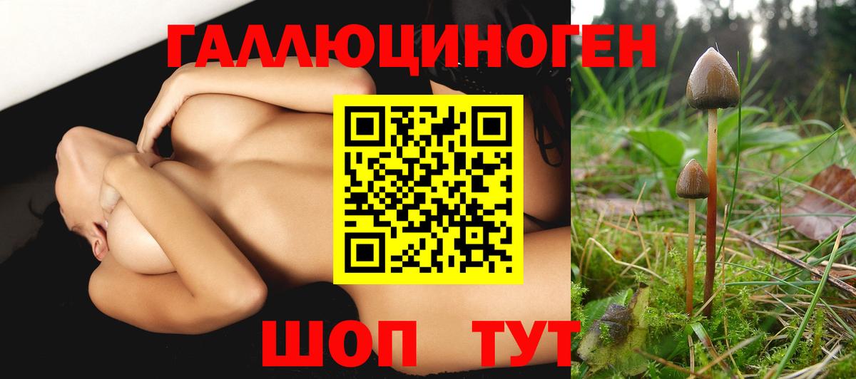 Псилоцибиновые грибы Magic Shrooms Сатка